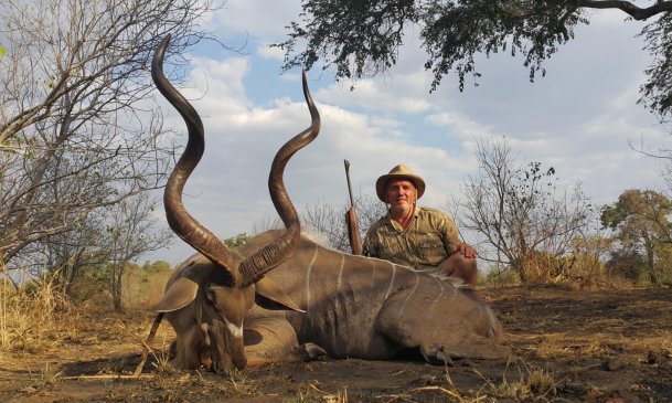 DvC-Safaris Großer Kudu